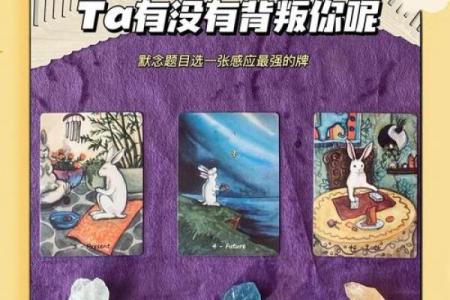 塔罗测试：遭到老公背叛的几率有多高？