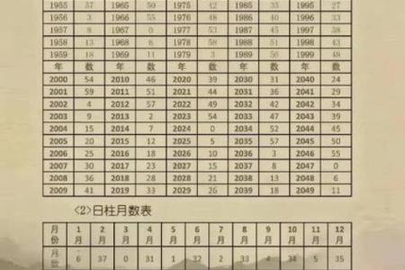 八字命理 2024年农历十二月初九的孩子命运详解
