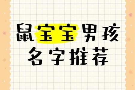 什么字适合给晚上11点出生的属鼠男孩起名姓名