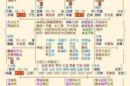 紫薇斗数 七杀是什么
