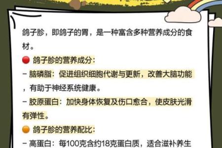 养鸽子与风水家庭和谐的源泉