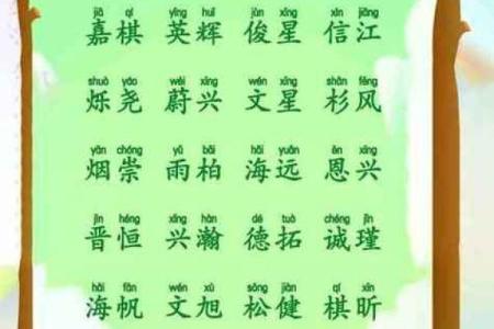 2019年5月1号卯时出生的男孩起名方法姓名