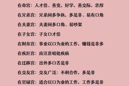 紫薇斗数高人