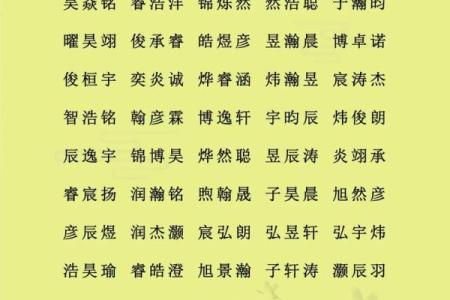 12月份出生的属鸡男孩起什么名字好姓名