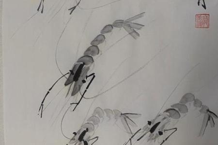 风水招财_养虾招财么