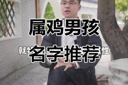 晚上11点出生的属鸡男孩宜用什么字取名字合适姓名