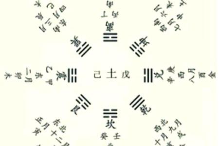 宝宝命运算命