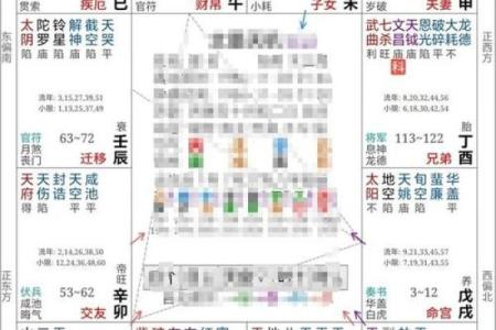 紫薇斗数父母职业