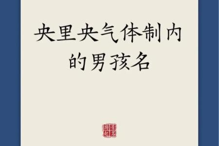 2019年3月25号辛时出生的男孩起名方法姓名