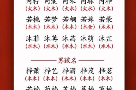 1月份出生的属蛇男孩如何取名姓名