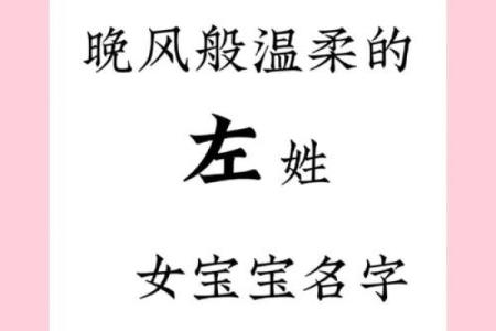 如何来替属猪未时出生的男孩如何起名姓名