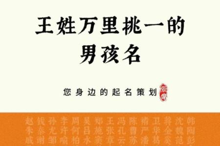 2019年6月27号寅时出生的男孩起名方法姓名