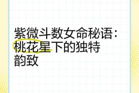 紫薇斗数女命如何看桃花运