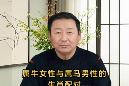 生辰八字牛配对，测算你们的最佳婚姻组合
