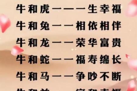 属狗和属牛的八字合吗