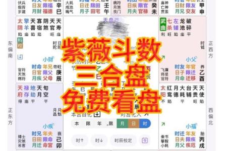 紫薇斗数免费批