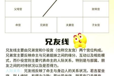 紫薇斗数子时怎么确定