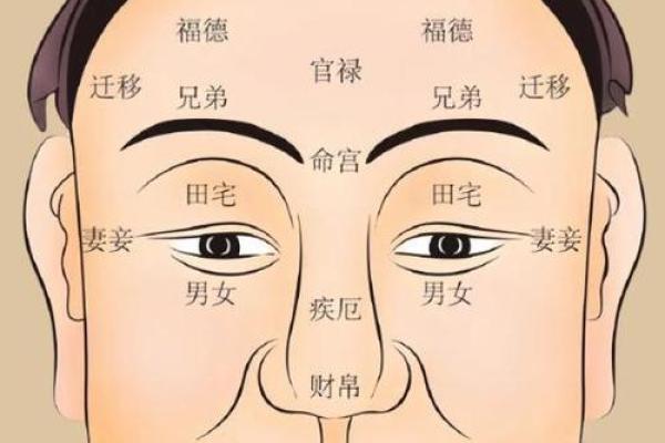 面相风水女人十大富贵眉毛你有吗