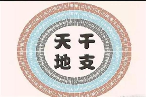八字看天干