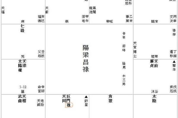 紫薇斗数对盘
