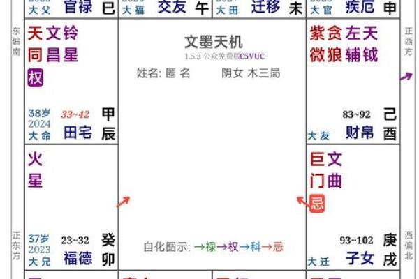 紫薇斗数生年自化