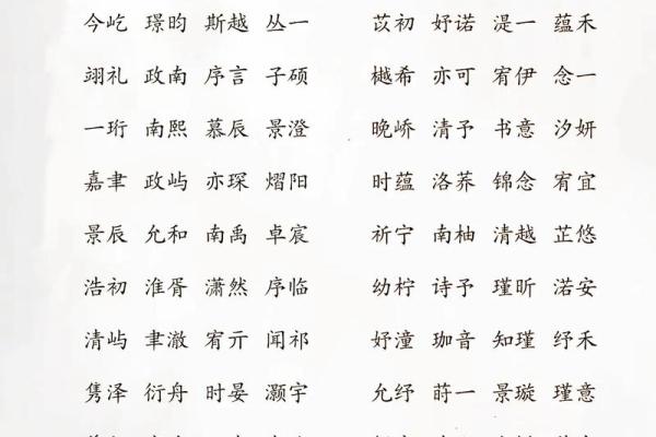 晚上9点出生的属蛇男孩该如何起名，适合用什么字姓名