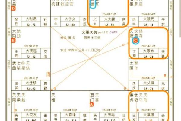 自紫薇斗数