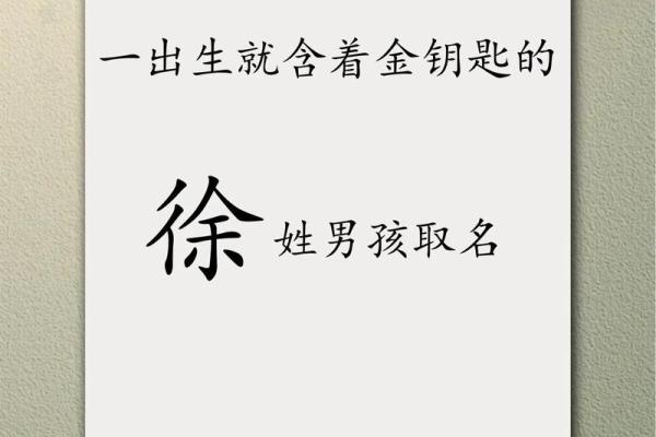2019年出生的姓徐男孩如何起名，宜用什么字姓名