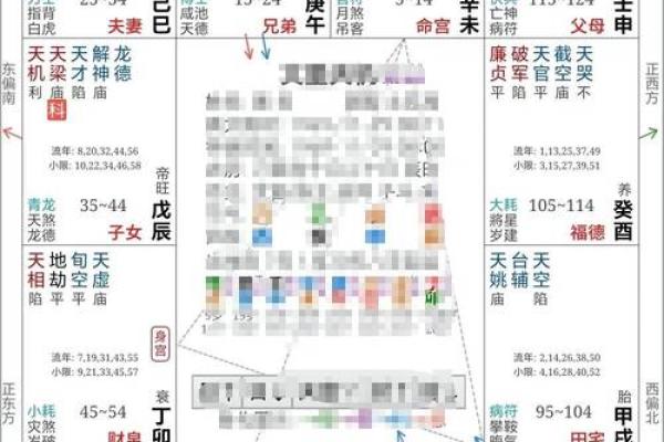 紫微斗数紫薇天府入命宫