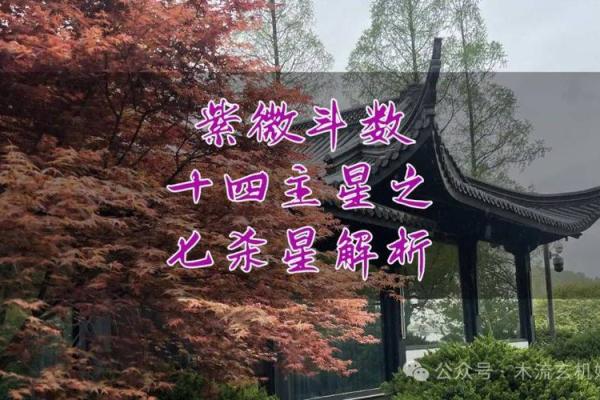 紫薇斗数吉曜是指什么