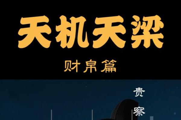阿金紫薇斗数博客