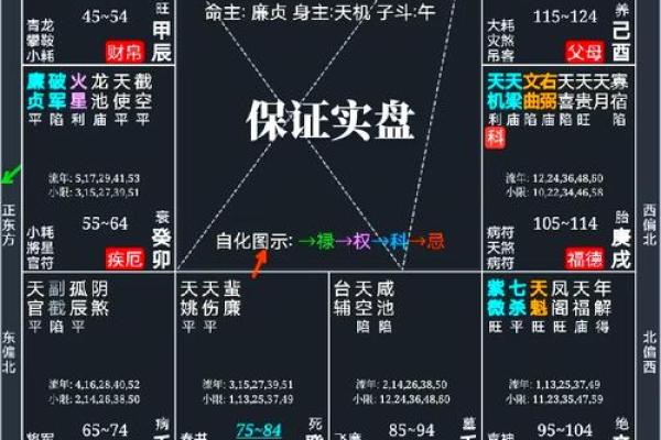 紫薇斗数怎样解盘