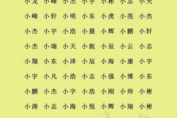 2019年4月11号寅时出生的男孩起名方法姓名