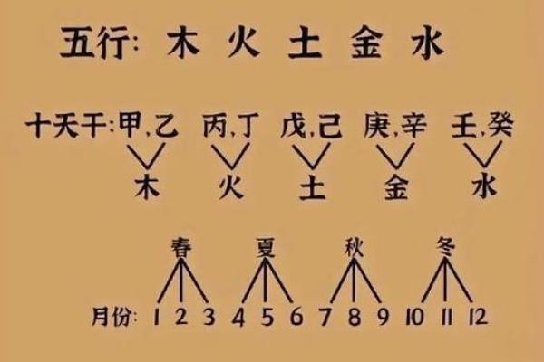 算命术为什么用五行金木水火土作算命的工具？