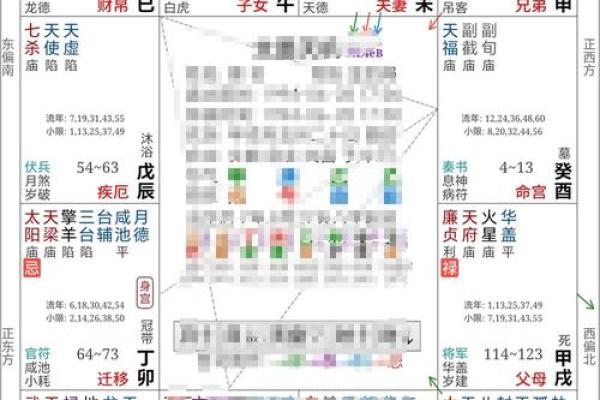 紫薇斗数地劫命宫