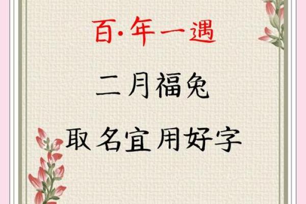 给属兔巳时出生的男孩起名宜用什么字姓名