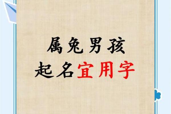 给属兔巳时出生的男孩起名宜用什么字姓名