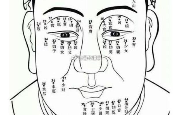 风水解析下垂眼的人性格特征