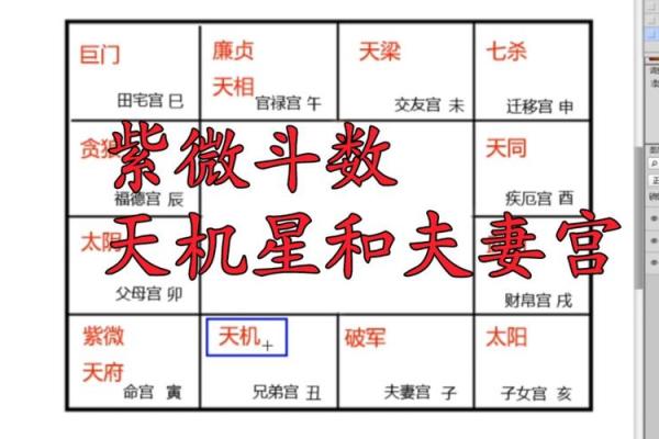 紫薇斗数之天官