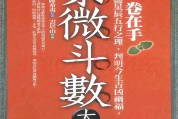 紫薇斗数外国人