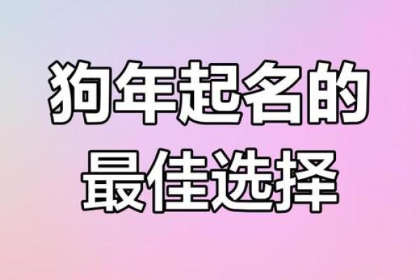 上午11点出生的属狗男孩怎么取名，用什么字好姓名