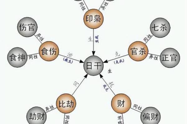 八字五行、十神的生克运行