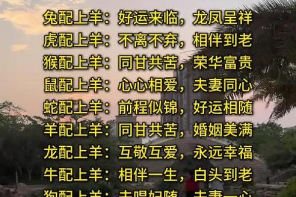 双羊八字详批：性格、婚姻、事业、财运，全面解析！