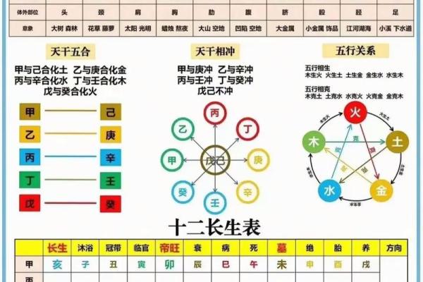 八字天干地支怎么看