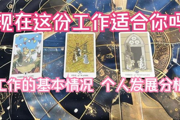 塔罗测试：这份工作适合你吗