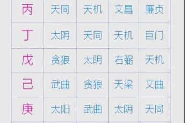 紫薇斗数专业名词
