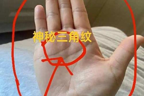 生命线上有三角纹是好兆头吗手相风水