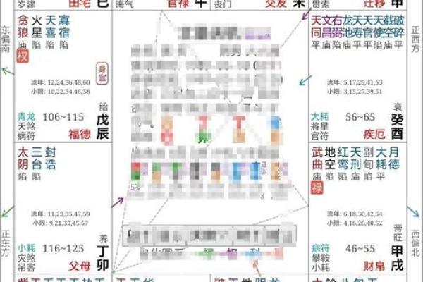 紫薇斗数运势100