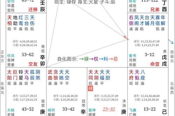 紫薇斗数运势100