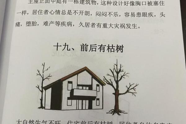 农村住宅风水什么样的才好有哪些讲究